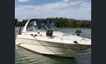 Sea Ray 310 Sundancer-kuva-5